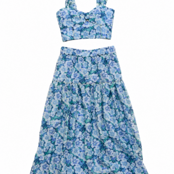 Blue and Green Floral Print Crop Top and Maxi Skirt Set